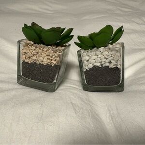 Green Succulent Glass Planter Set